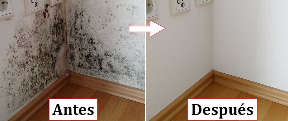 Antes y después de reparar bajante sin obra Antes y después de reparar bajante sin obra